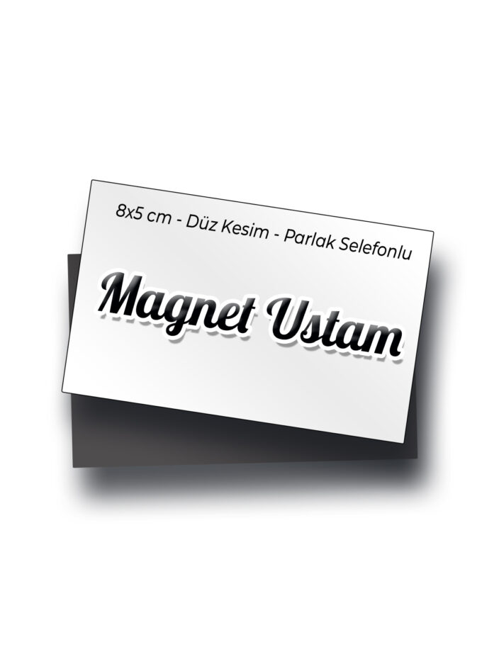 Kartvizit Boyutu Magnet