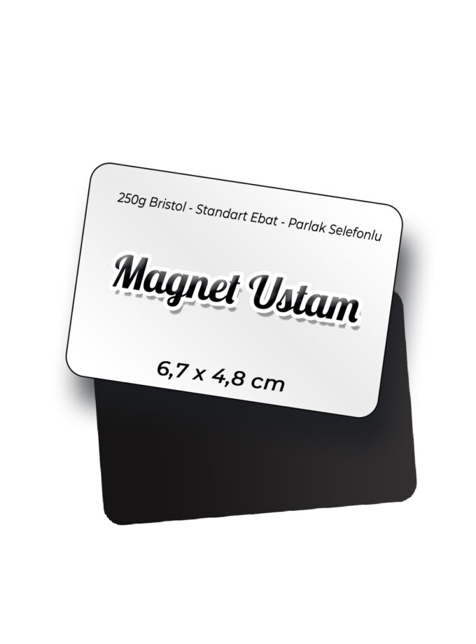Standart Magnet - 1000 Adet